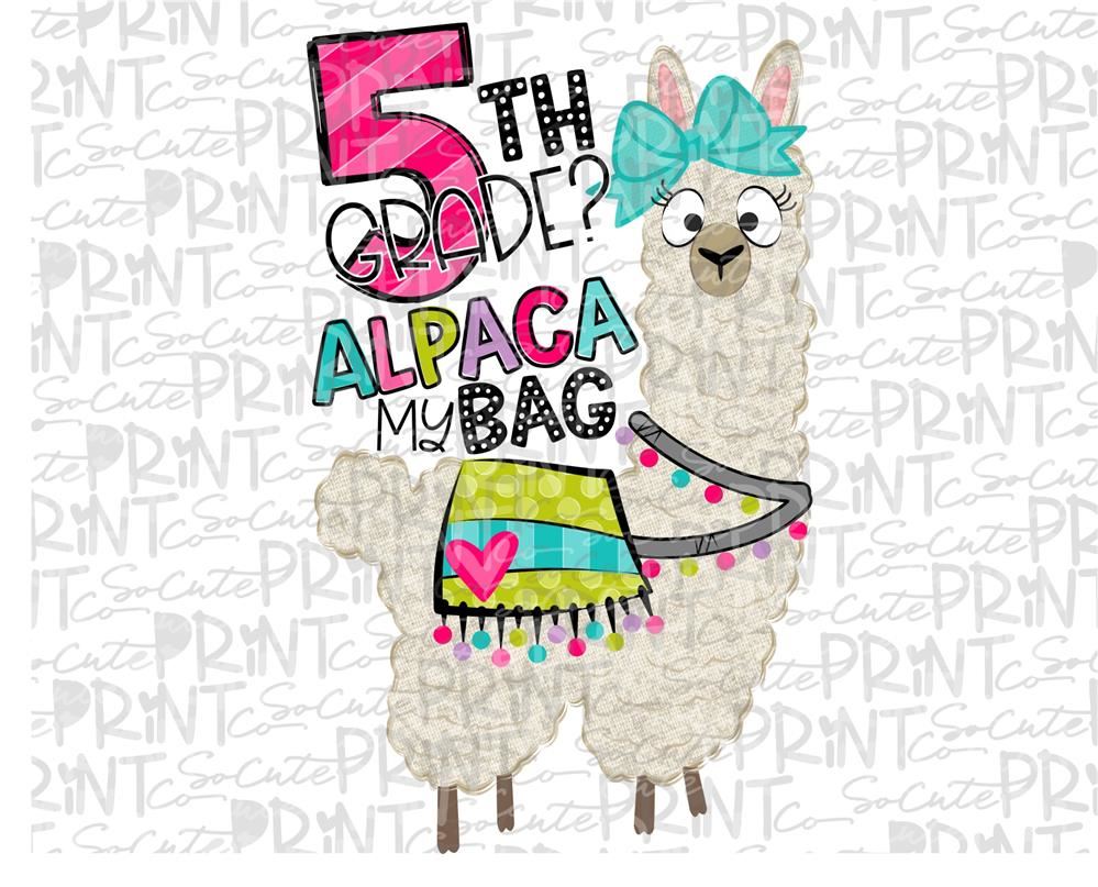 alpacca5th